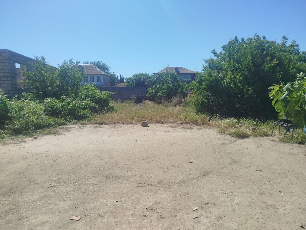 5 sot, Tikinti, Mülkiyyətçi, Kupça (Çıxarı
